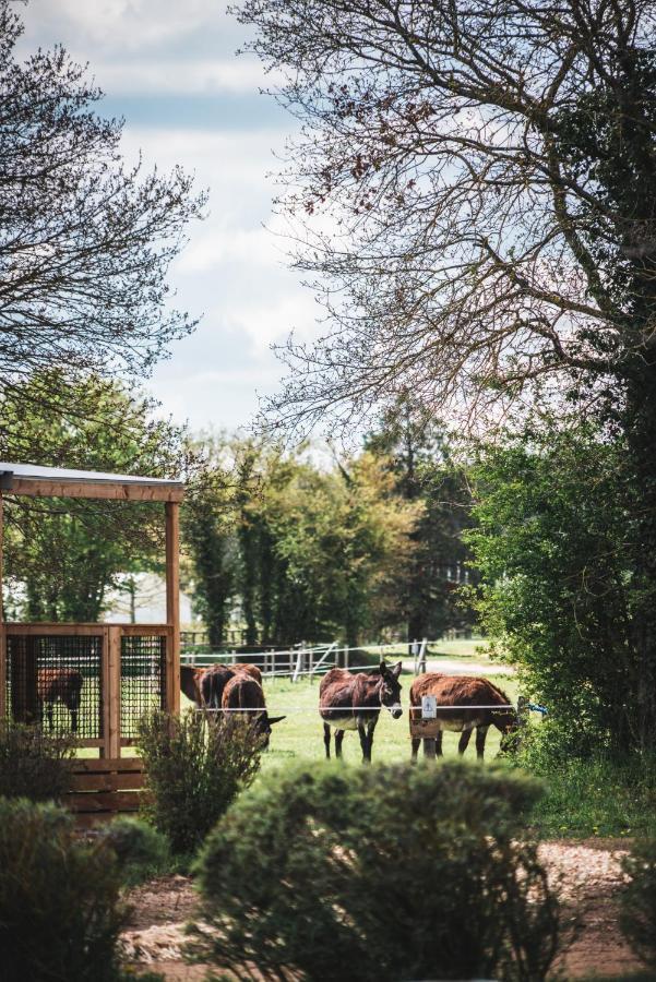 Le Village De Cottages - Le Pole Du Cheval Et De L'Ane Lignières Dış mekan fotoğraf